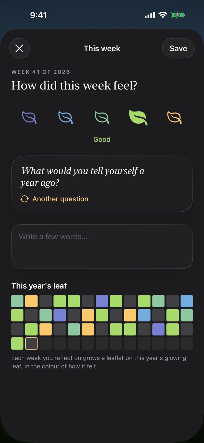 This week: five coloured leaves for how the week felt, a reflection question, and this year's weeks as coloured squares.