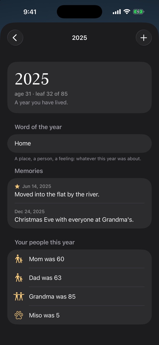 The year 2025 with its word, Home, two memories, and how old each loved one was that year.